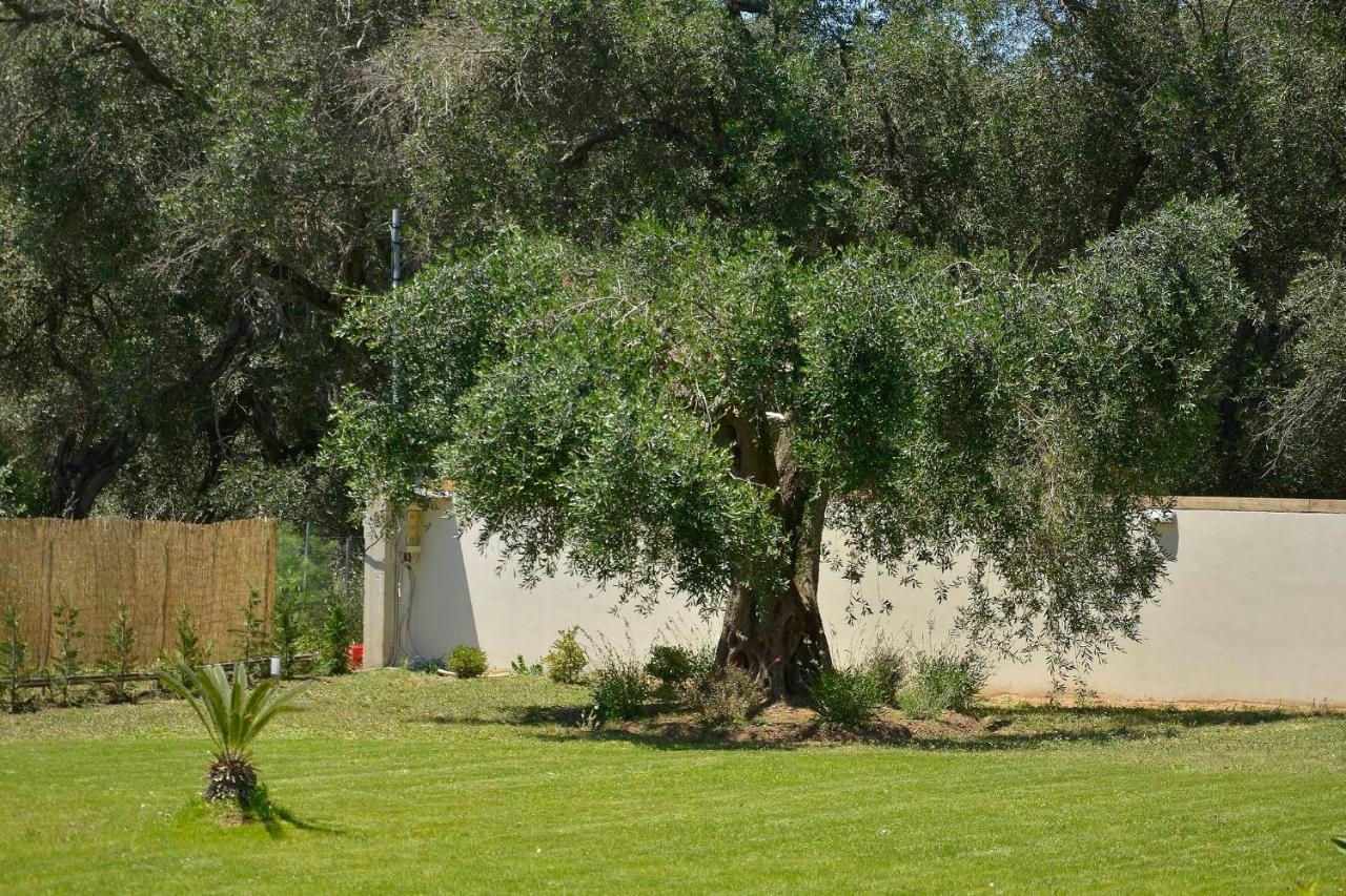 La Casa Del Sole Villa Halikounas Dış mekan fotoğraf